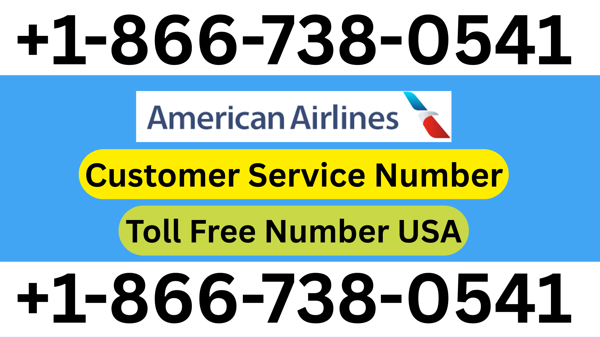 Spirit Airlines Missed Flight Policy Explained Step by Step — Virginia Zoo